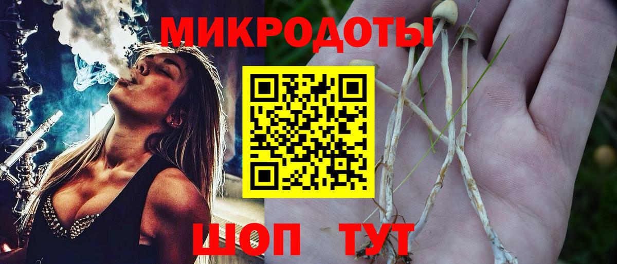 Галлюциногенные грибы Psilocybine cubensis Луховицы