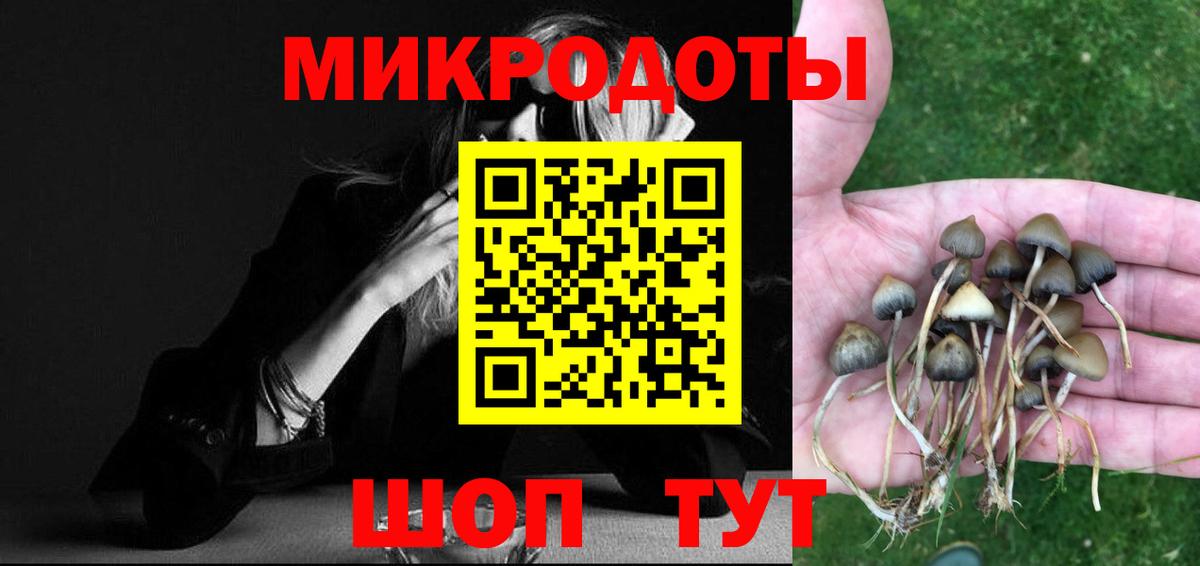 Псилоцибиновые грибы мицелий  купить  сайты  Псилоцибиновые грибы прущие грибы  Луховицы  Вход с VPN 